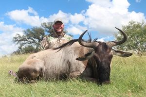 Blue Wildebeest taken by Jeremy Guillory on an exciting safari style hunt!