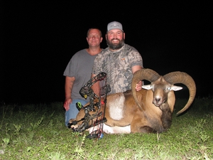 Iranian Red Sheep Ram Taken by Jason Cross with a Bow. Given as a gift and guided by longtime friend and hunter Bobby Guillory! Gold SCI Score and unofficial #7 with a bow.