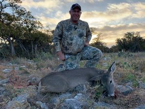 2nd Doe Taken by Chris.