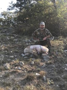 Fallow Doe taken by Cody with a bow!