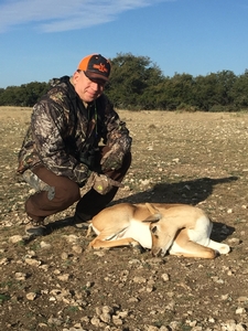 Blackbuck doe taken by Frank.