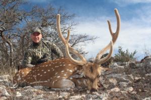 Mike Runyan's awesome Axis in Velvet. A great story behind this hunt.