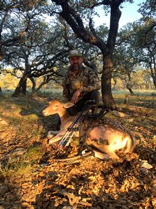 Fallow Doe taken by Jeremy with a Bow.