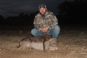 Fallow Doe taken by Robert.