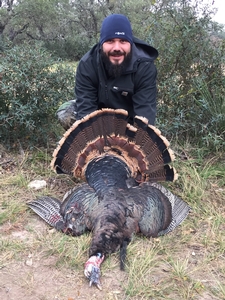 Rio Grande Gobbler taken by Jesse Jimenez.