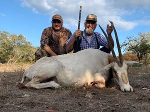 Oryx Taken by Peter S.- Bronze SCI