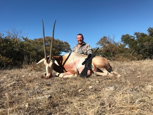 Oryx taken by Jeremy Guillory. Bronze SCI Score.