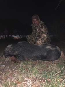 Pig taken by Jesse Silva of Colorado.