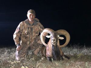 Blaine with his Red Sheep Ram. Gold SCI and Unofficial #23.