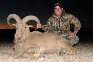 Great Aoudad taken by Keith Albritton after an exciting roller coaster of a hunt!