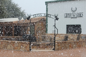 A rare snow storm at the ranch!