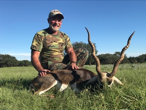 Blackbuck taken by Steve Traylor, Silver SCI Score!