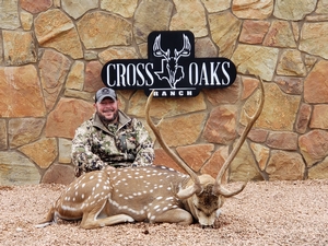 Jeremy Guillory took this axis with a bow, SCI Gold for Bow!