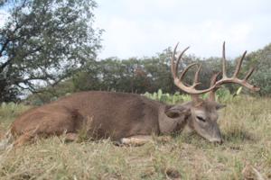 156 inch 15 point buck taken by Jim Rizzo of Pennsylvania.