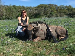 Blue Wildebeest taken by Jamie Silva.