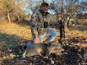 Another Doe taken by Chris McDonald.