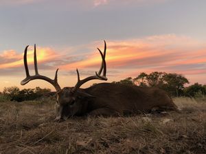 149 Inch 8 Point Taken by Judy S.